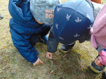 DSC08415.JPG