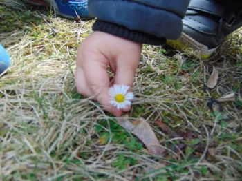 DSC08416.JPG